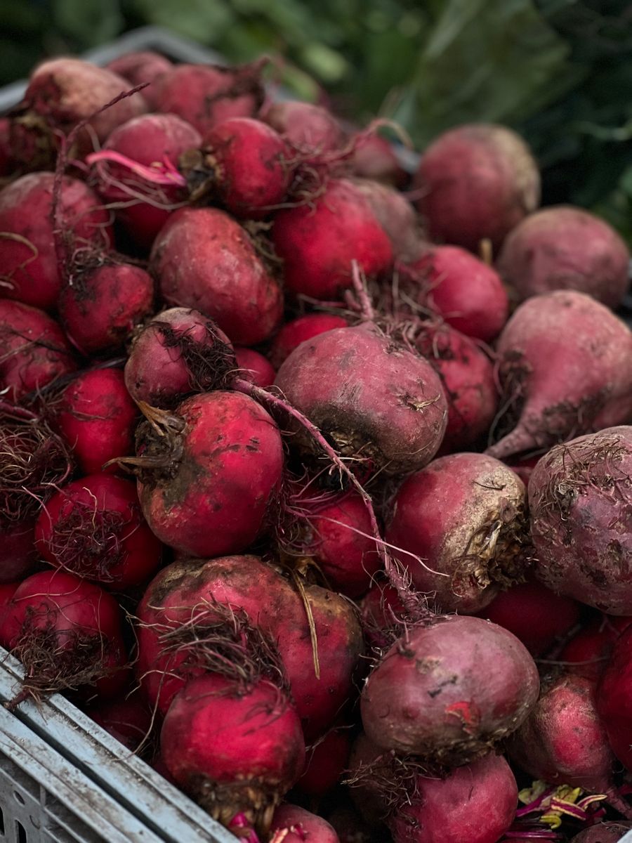 Fresh beetroot, the hero ingredient in Chutnix Beetroot